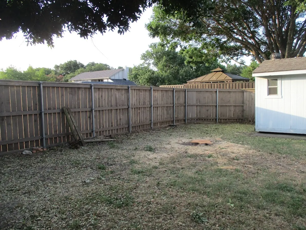 Cleared yard after professional tree removal in Kenyon