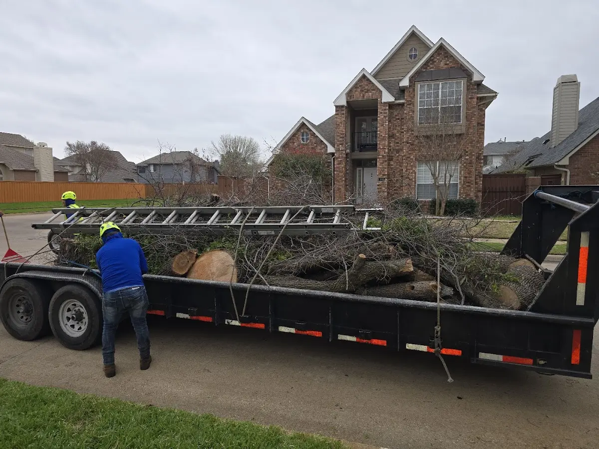 Expert Tree Pest Control with proper safety equipment in Kenyon